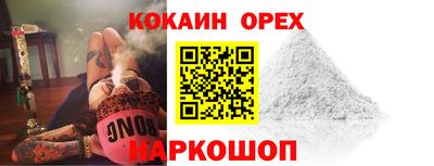 jwh Кингисепп