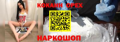 jwh Кингисепп