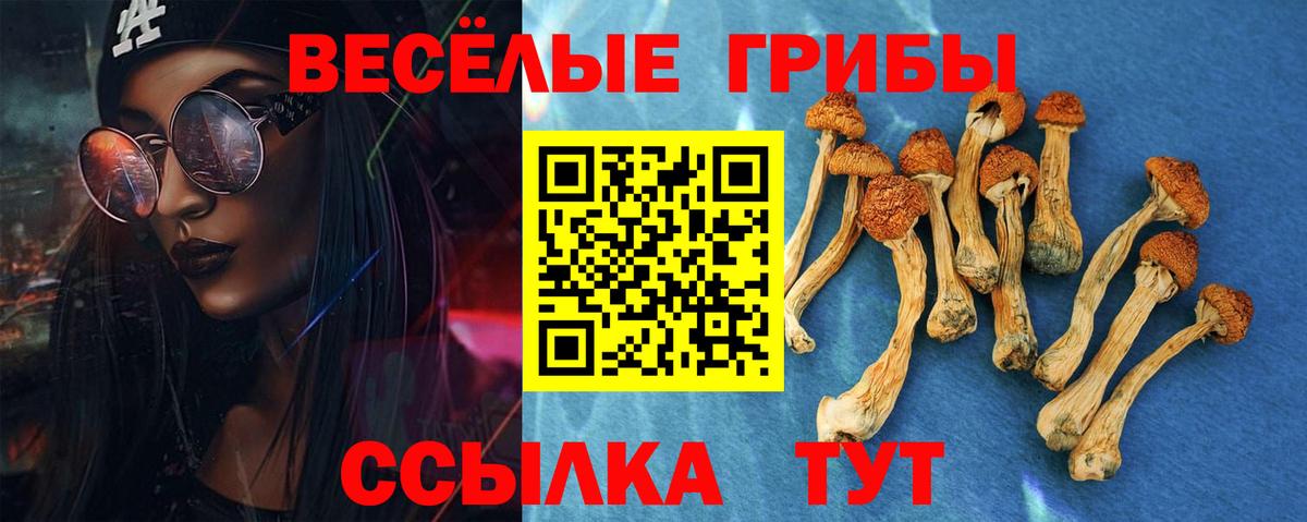 Псилоцибиновые грибы ЛСД Канаш