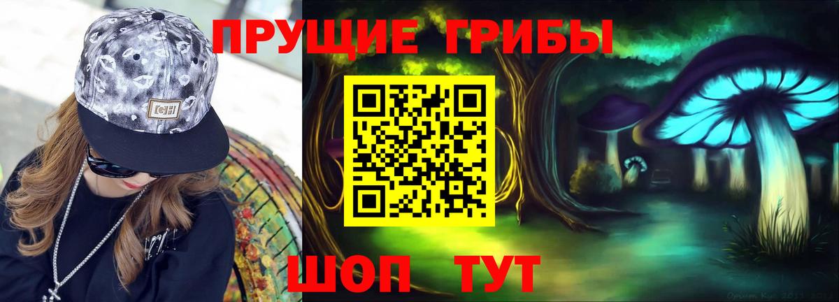 Канаш  Псилоцибиновые грибы прущие грибы  Вход с VPN 