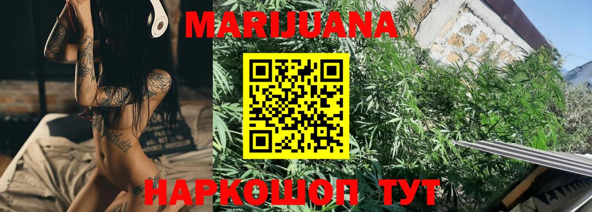 Каннабис индика Канаш